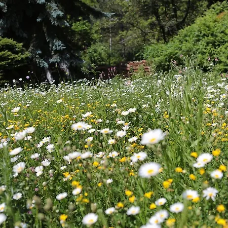 Rekreacni Vilka Zlenice
