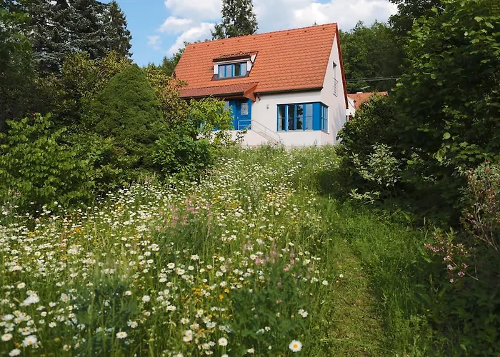 Rekreacni Vilka Ferienhaus Zlenice
